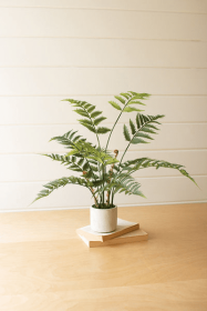 Artificial Fern In A Cement Pot