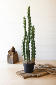 Artificial Cactus In A Black Plastic Pot With Six Stems