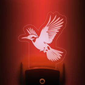 Humming Bird Nightlight | Nature Lover & Bird Watcher Gift