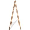 Double Towel Ladder with 5 Rungs Bamboo 19.7"x63"