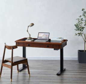 Danee Desk (Color: 60)